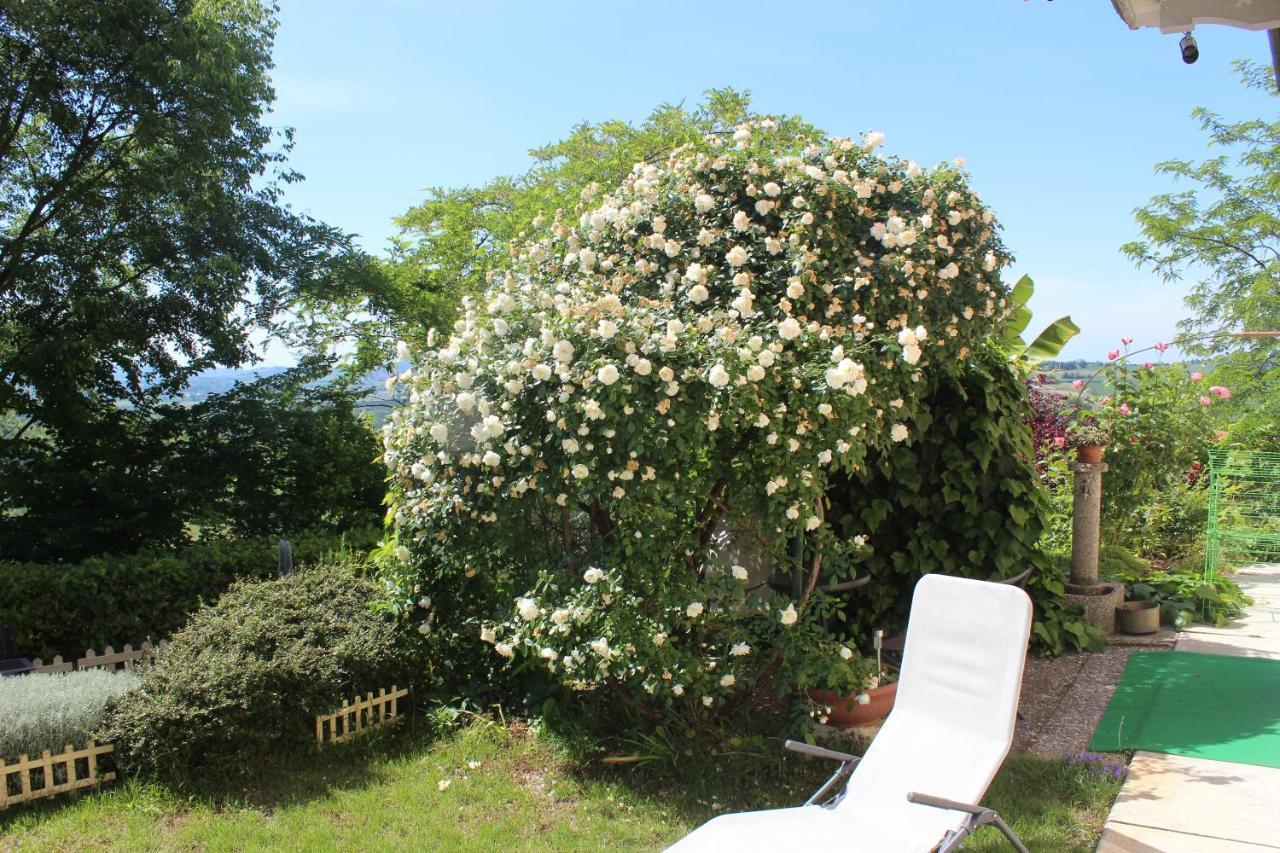 La Terrazza Sul Monferrato Apartment Ozzano Monferrato Luaran gambar
