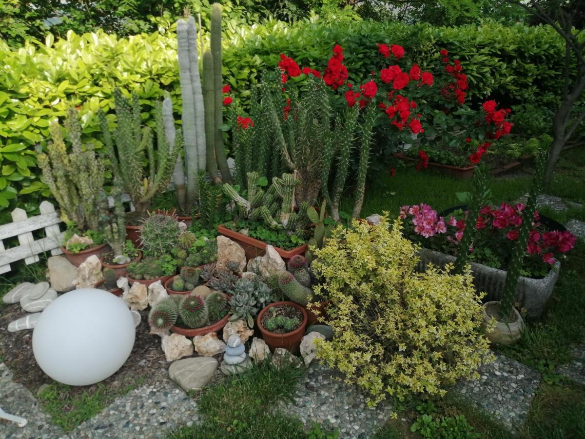 La Terrazza Sul Monferrato Apartment Ozzano Monferrato Luaran gambar